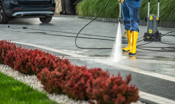 Best Soft Washing for Delicate Surfaces in Elmira, NY